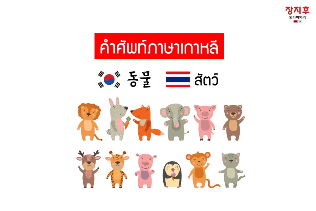 สัตว์ ภาษาเกาหลี